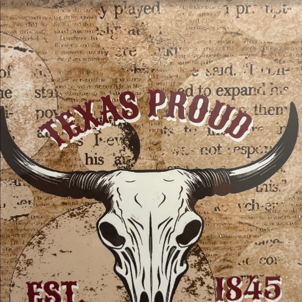 Texas Proud Longhorn Skull Art Print ..Wall or Shelf Picture  - New - Picture 3 of 5